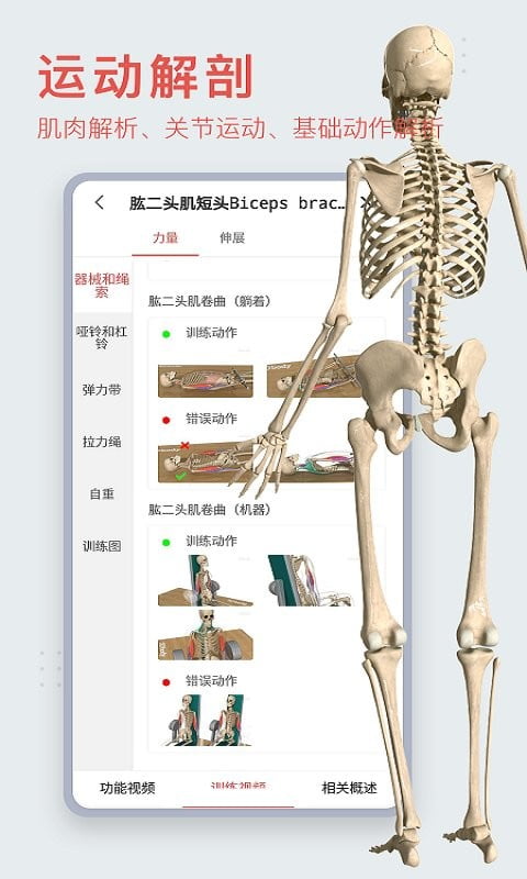 3dbody人体解剖学app下载