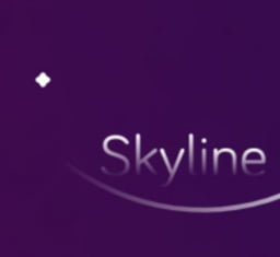 Skyline模拟器最新版